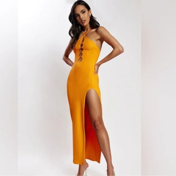 halter open back maxi dress Shona Joy - Savanna Halter Open Back Maxi Dress main image 1